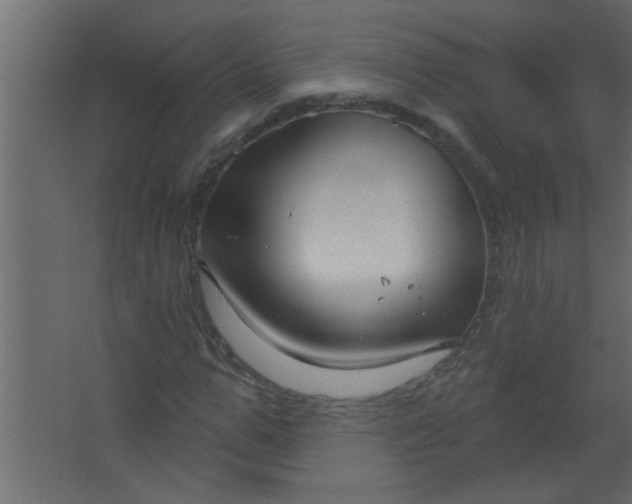 X0000067530967200604211839