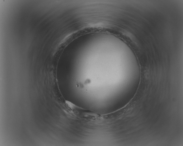 X0000067530968200604211839