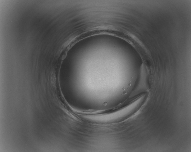 X0000067530969200604211839