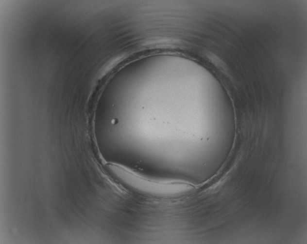 X0000067530970200604211839