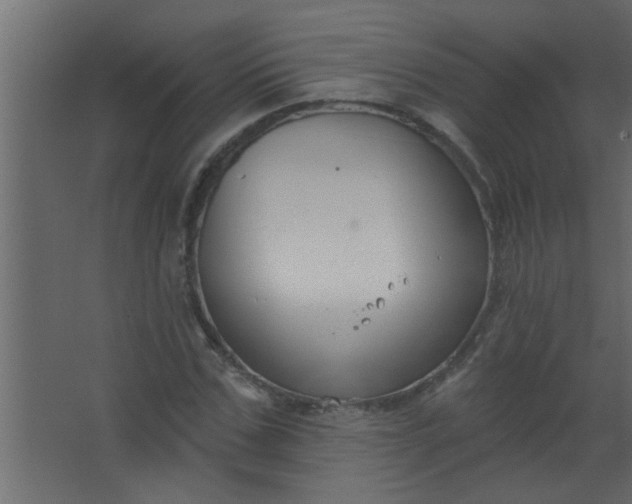 X0000067530971200604211839