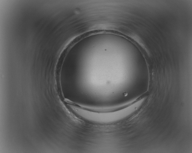 X0000067530972200604211839