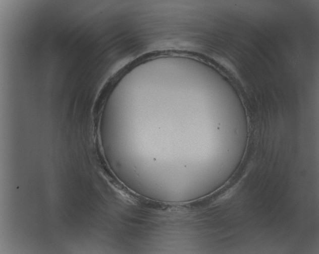 X0000067530974200604211839