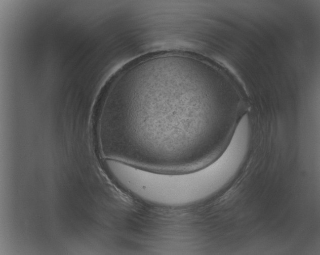 X0000067530975200604211839