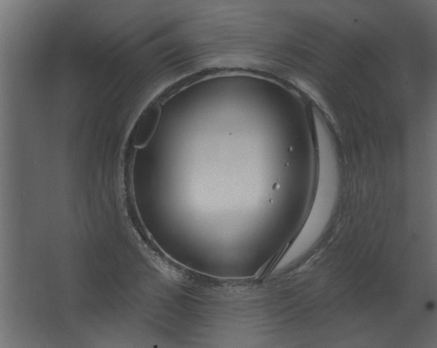 X0000067530976200604211839