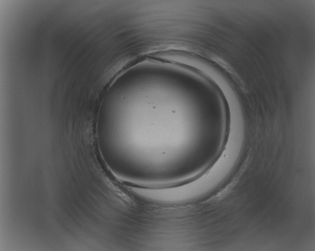 X0000067530977200604211839