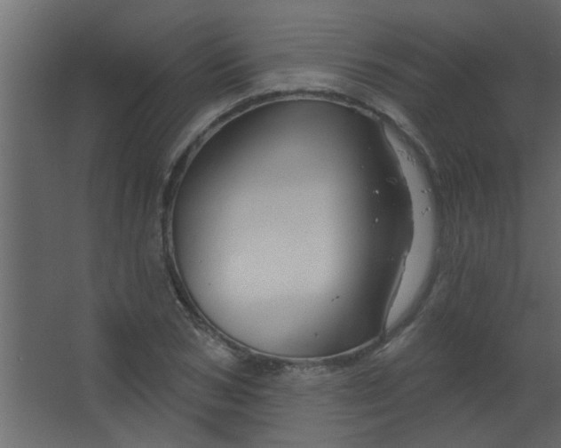 X0000067530978200604211839