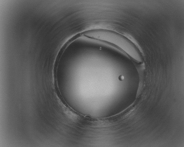 X0000067530980200604211839