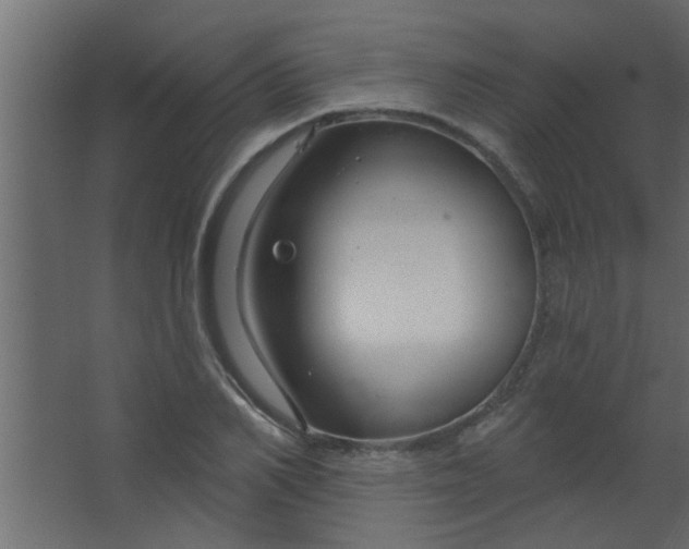 X0000067530982200604211839