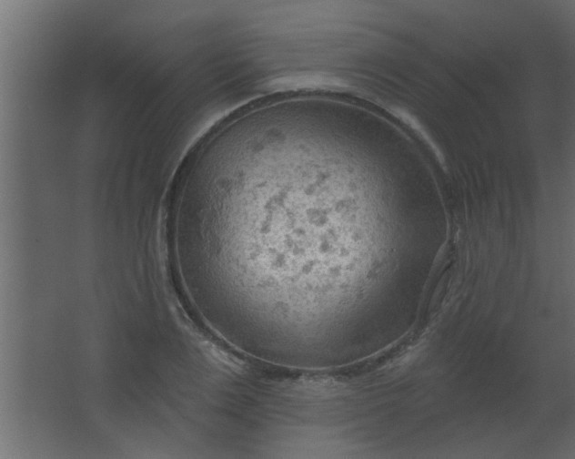 X0000067530983200604211839