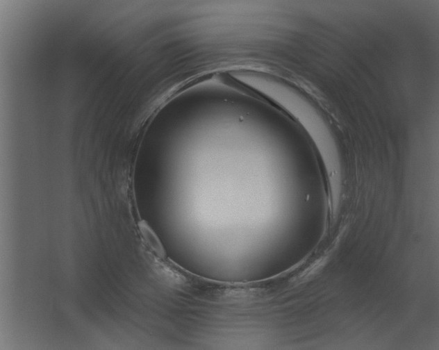 X0000067530985200604211839