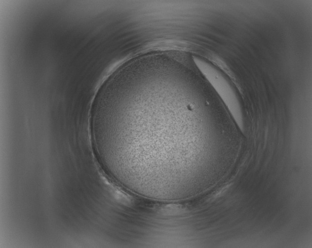 X0000067530986200604211839