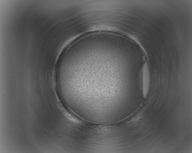 X0000067530987200604211839