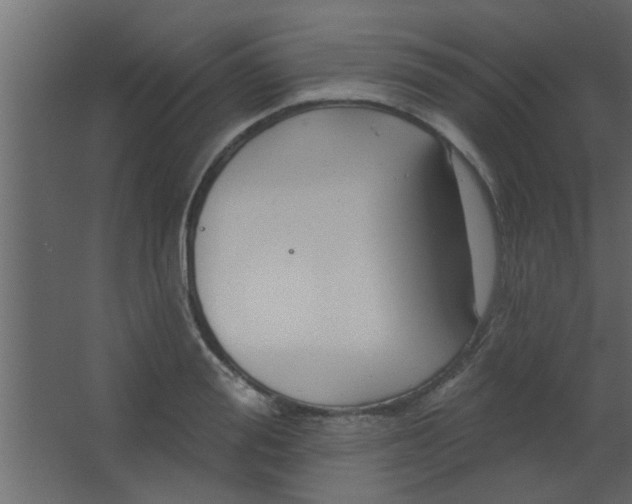 X0000067530988200604211839