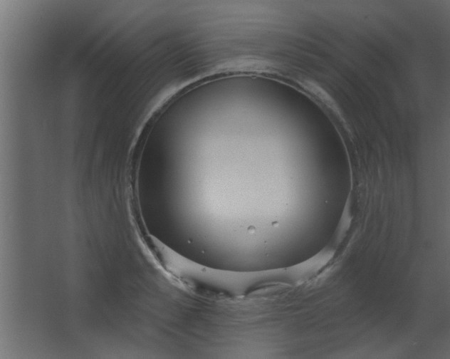 X0000067530989200604211839