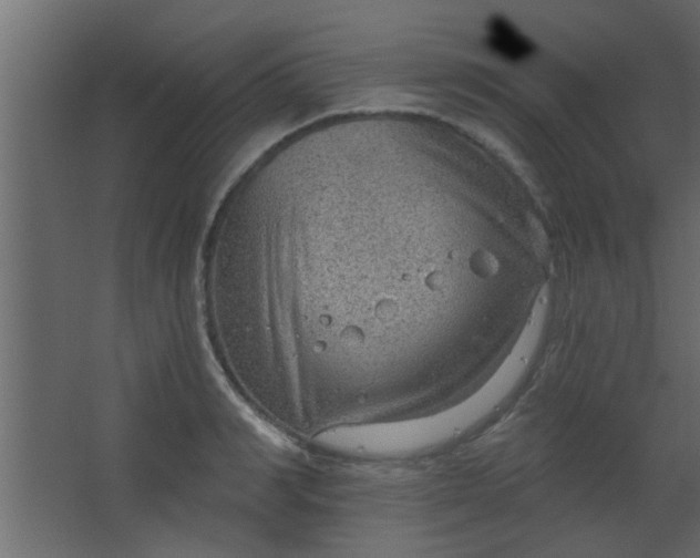 X0000067530990200604211839