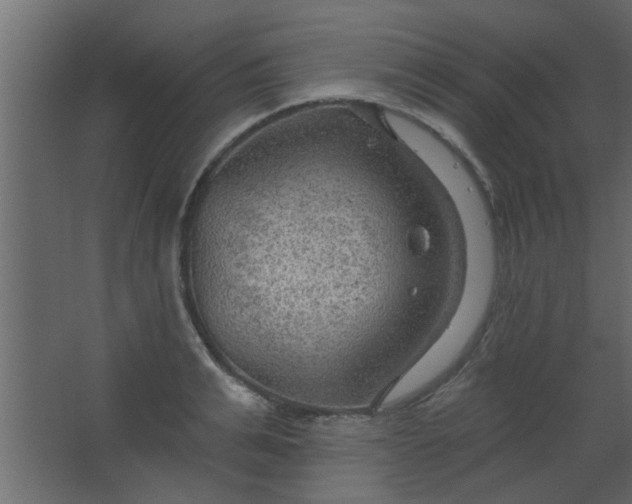 X0000067530991200604211839