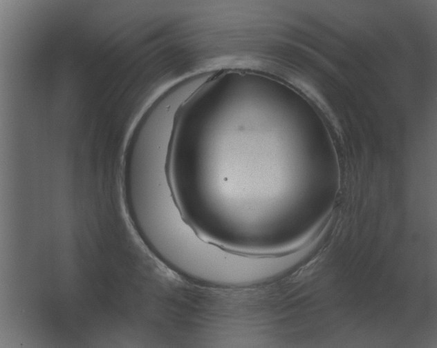 X0000067530992200604211839