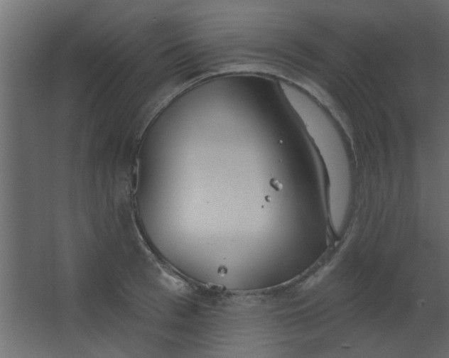 X0000067530993200604211839