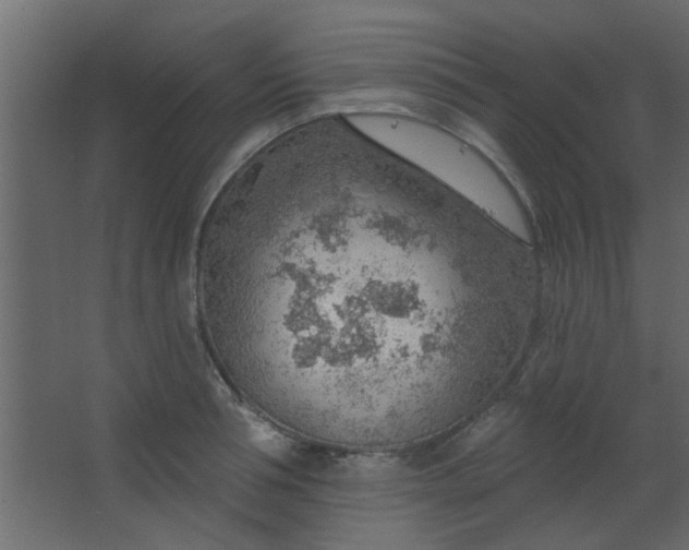 X0000067530994200604211839