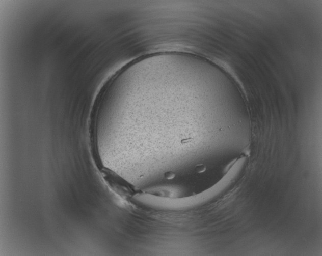 X0000067530995200604211839