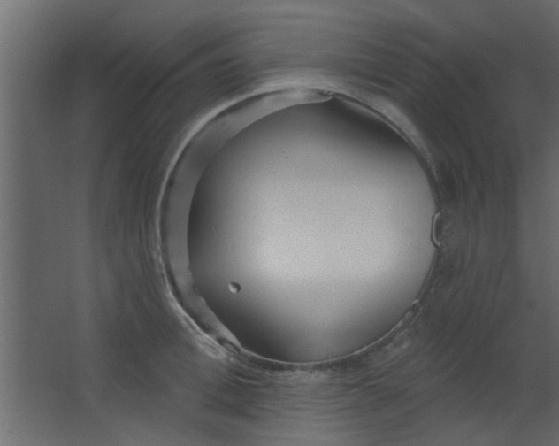 X0000067530996200604211839