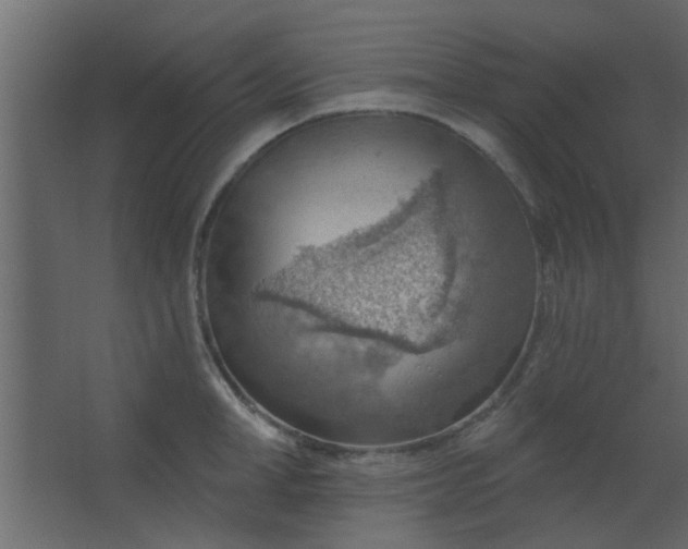 X0000067530998200604211839