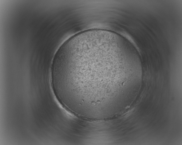 X0000067530999200604211839