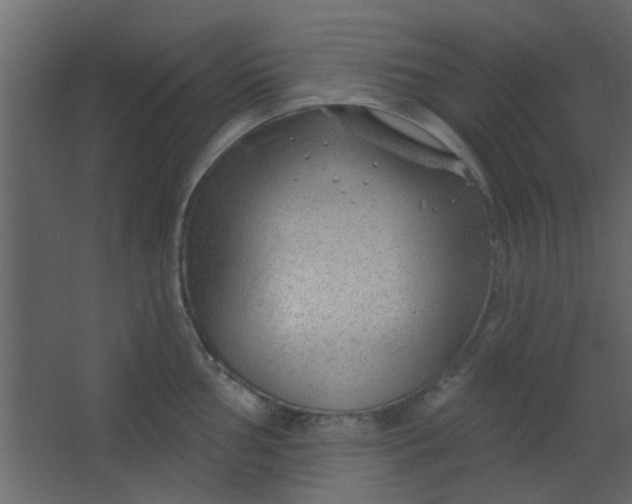 X0000067531002200604211839