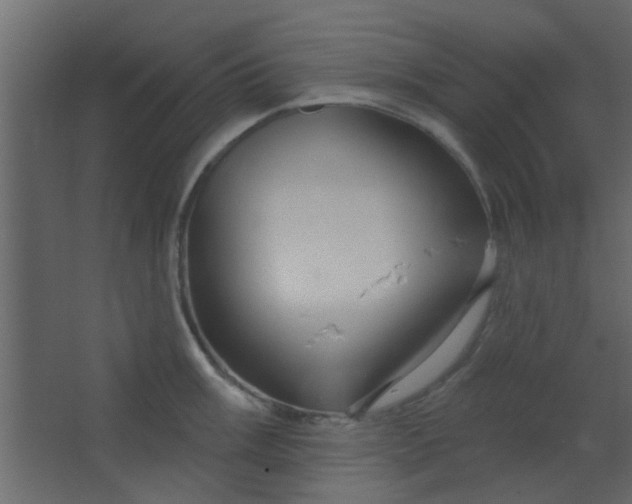 X0000067531003200604211839