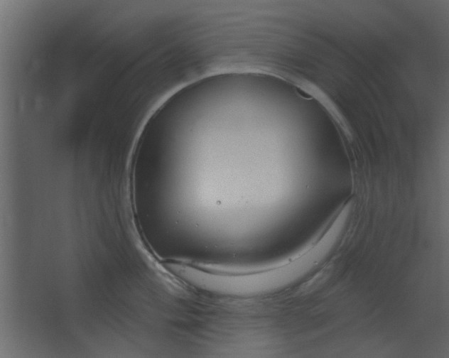 X0000067531004200604211839