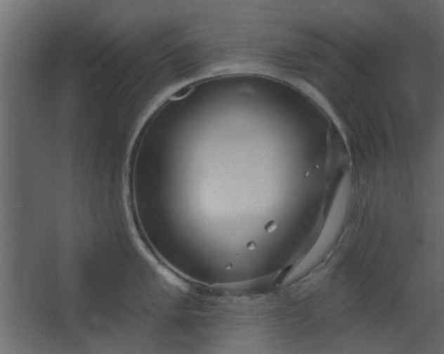 X0000067531005200604211839