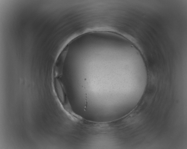 X0000067531006200604211839