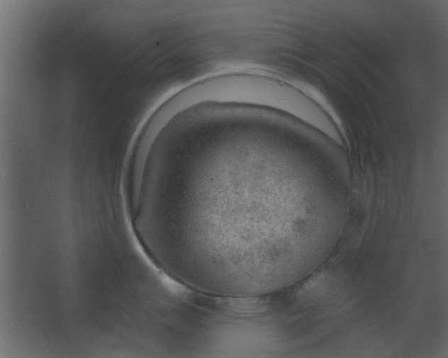 X0000067531007200604211839