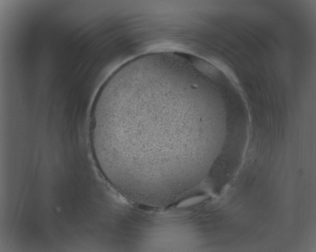 X0000067531008200604211839