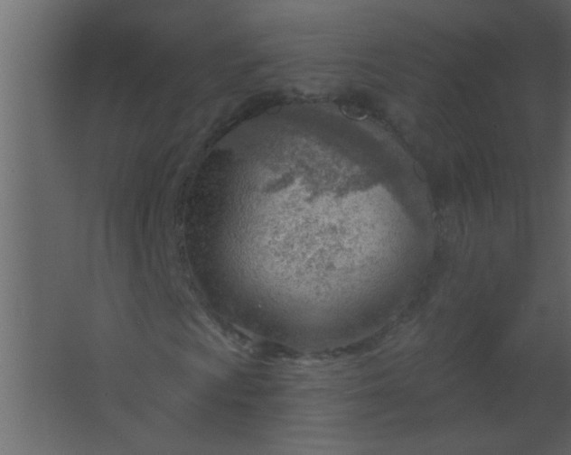 X0000067531009200604211838