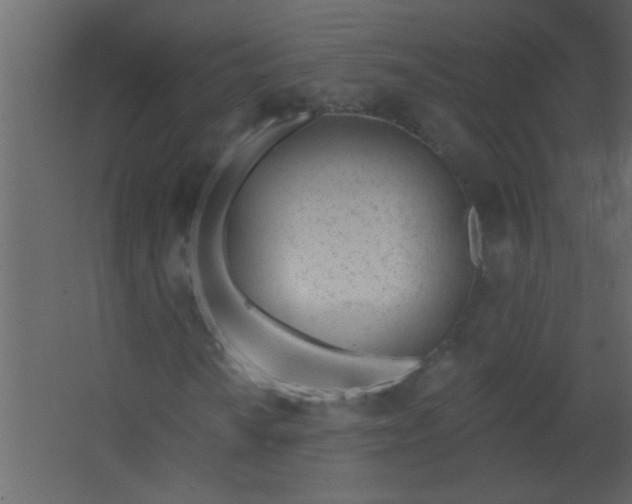 X0000067531010200604211838