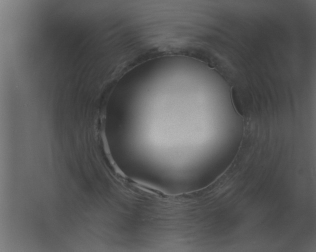 X0000067531012200604211838