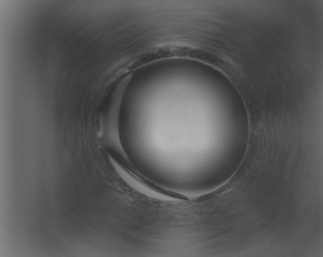 X0000067531014200604211838