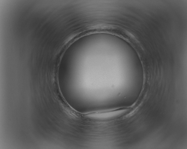 X0000067531017200604211838