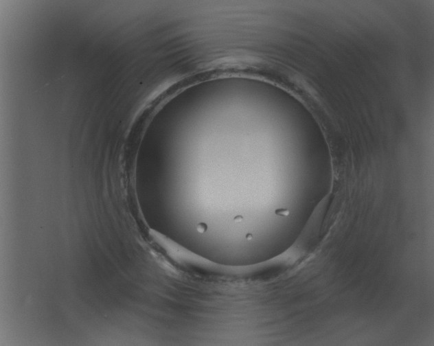 X0000067531018200604211838