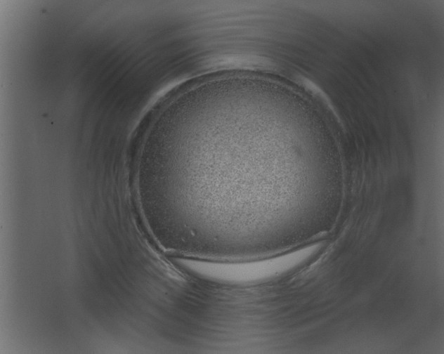 X0000067531019200604211838