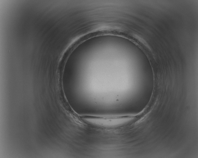 X0000067531021200604211838