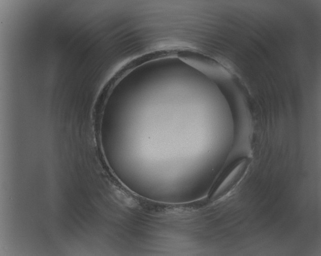 X0000067531022200604211838