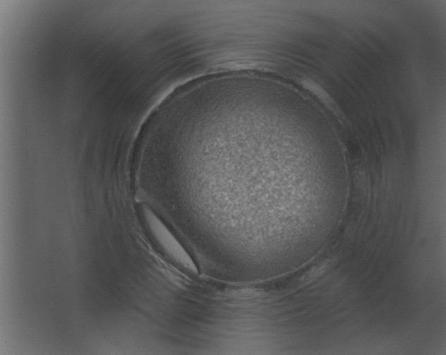 X0000067531023200604211838