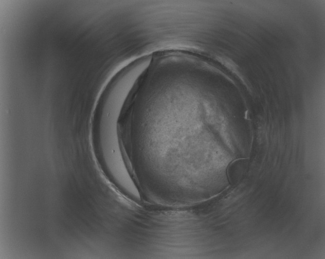 X0000067531024200604211838