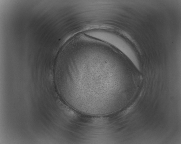 X0000067531025200604211838