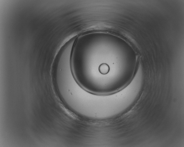 X0000067531026200604211838