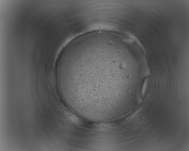 X0000067531027200604211838