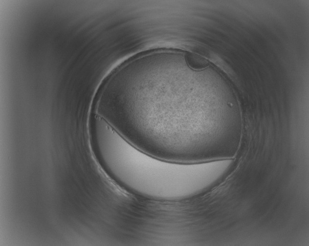 X0000067531028200604211838